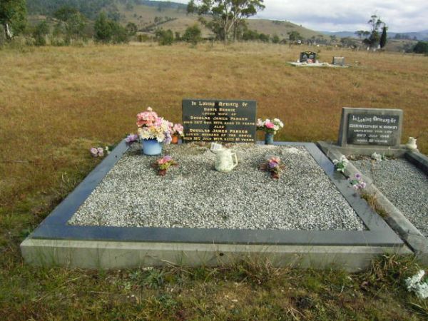 Full-size image