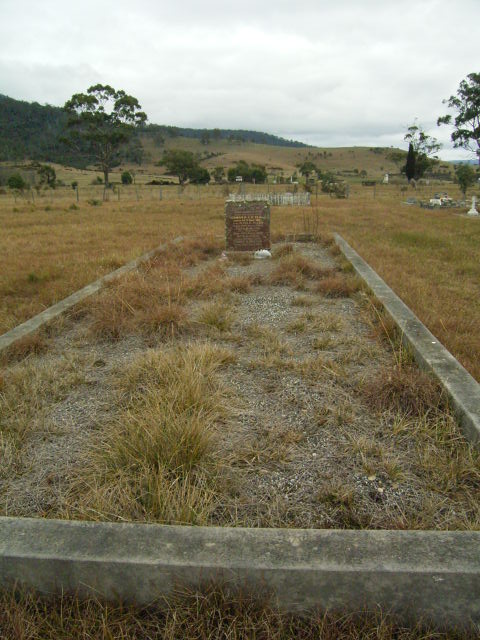 Full-size image