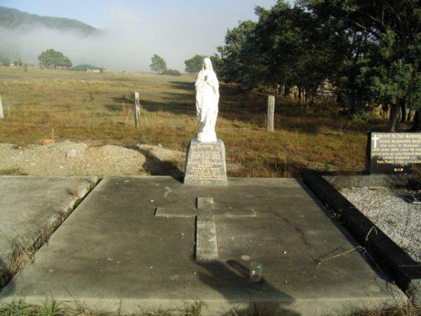 Full-size image