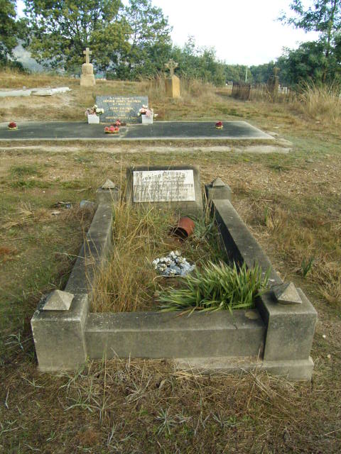 Full-size image