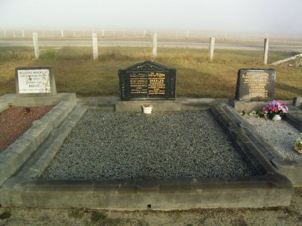 Full-size image