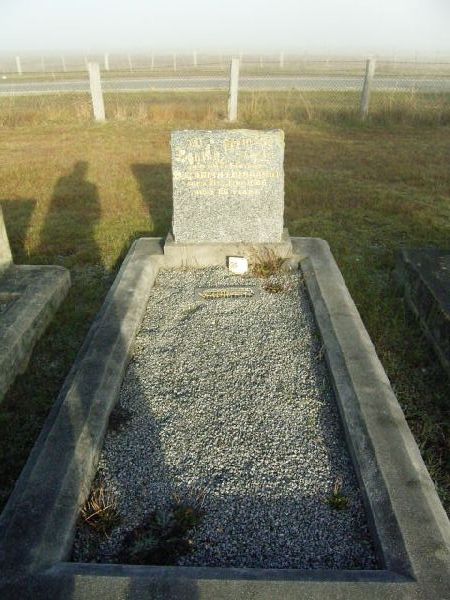 Full-size image