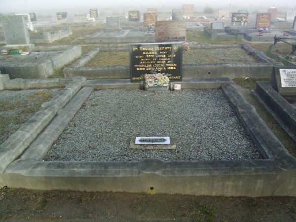Full-size image