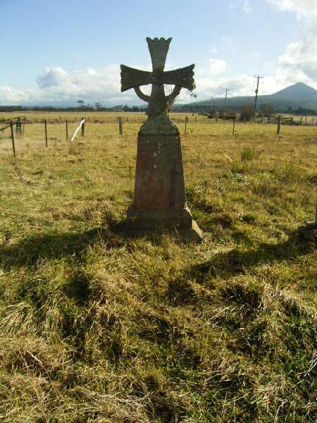 Full-size image