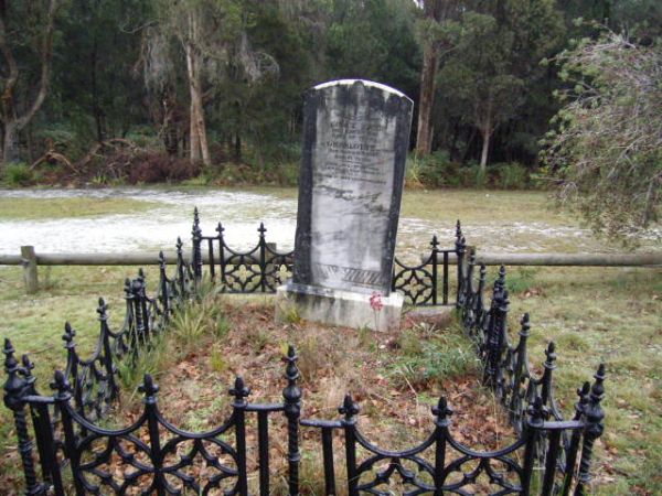 Full-size image