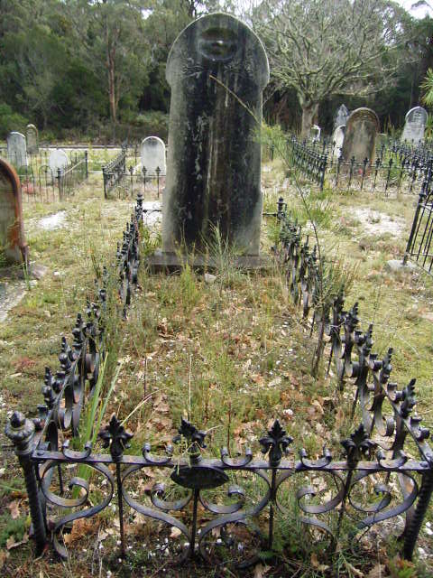 Full-size image