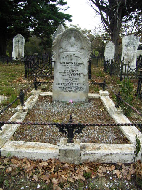 Full-size image