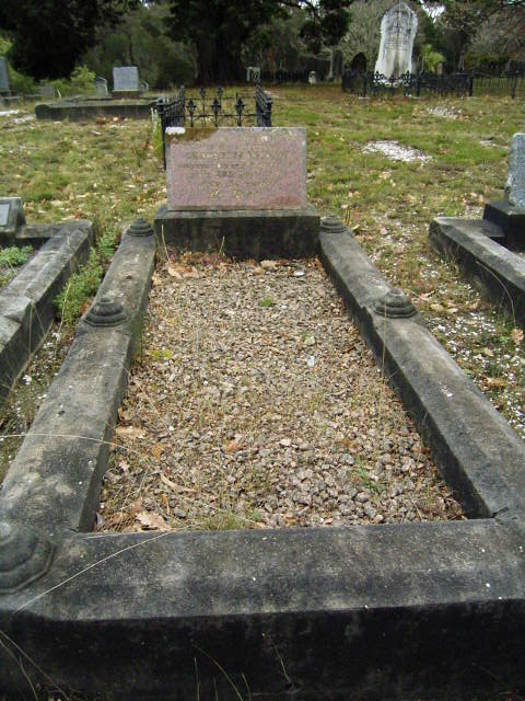 Full-size image