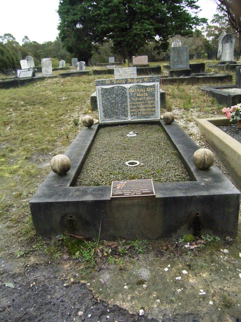 Full-size image