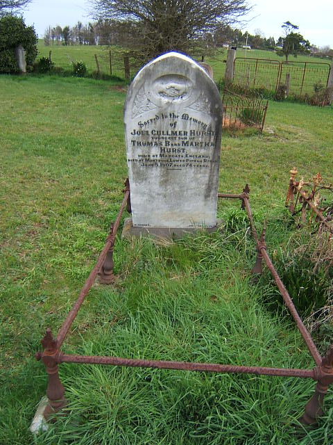 Full-size image