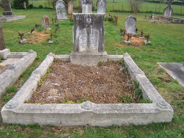 Full-size image