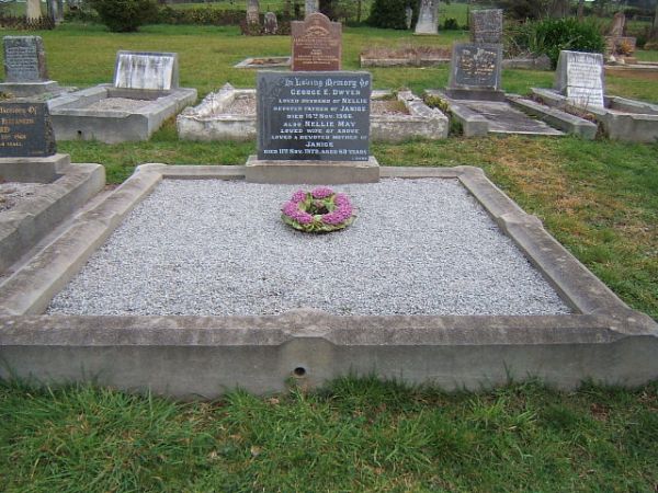 Full-size image