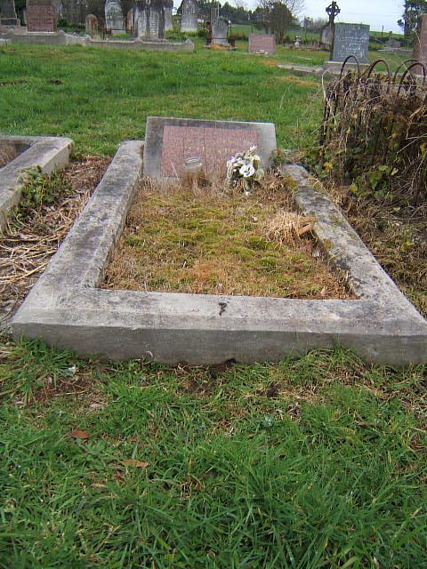 Full-size image