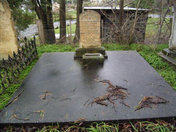 Full-size image