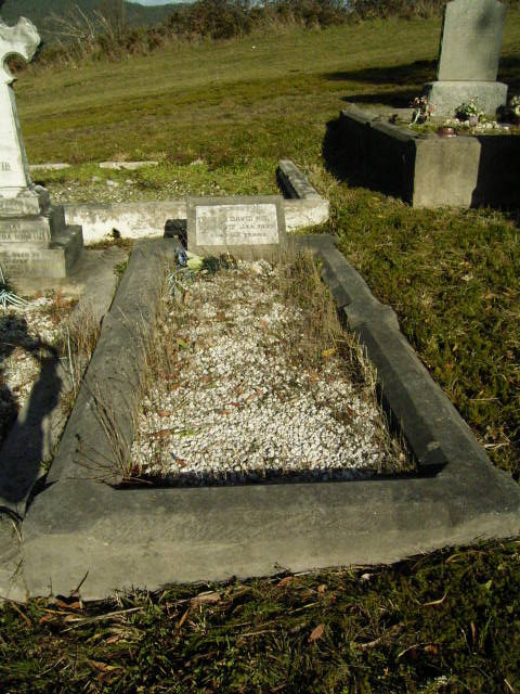 Full-size image