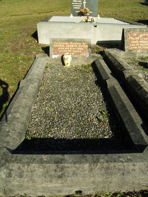 Full-size image