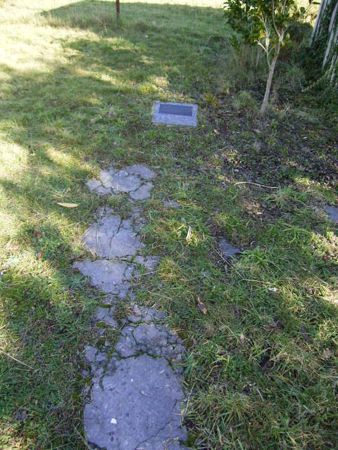 Full-size image