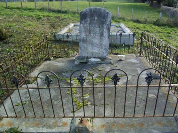 Full-size image