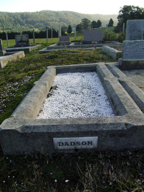 Full-size image