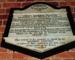 Full-size image