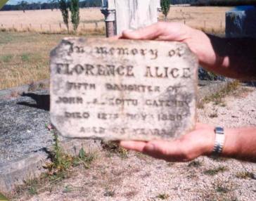 Full-size image