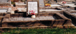 Full-size image