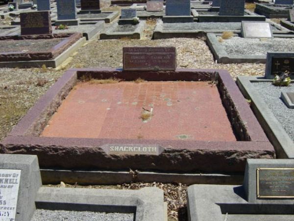 Full-size image