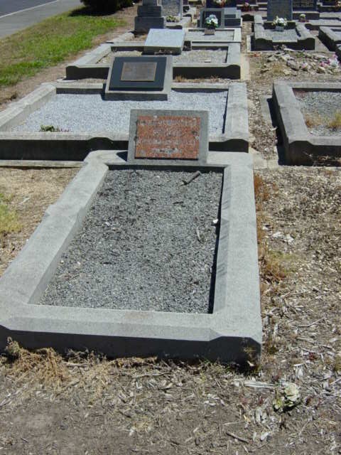 Full-size image