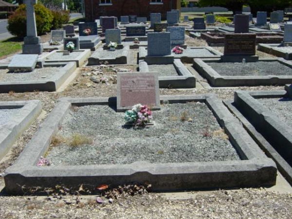 Full-size image