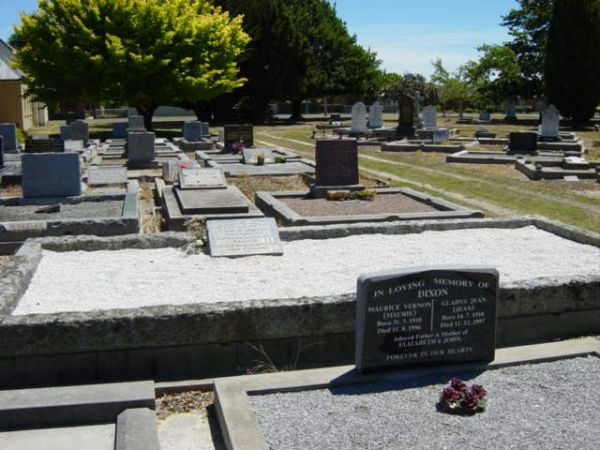 Full-size image