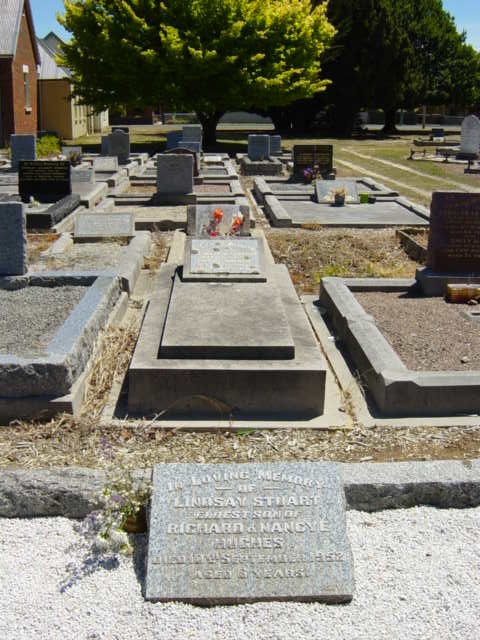 Full-size image
