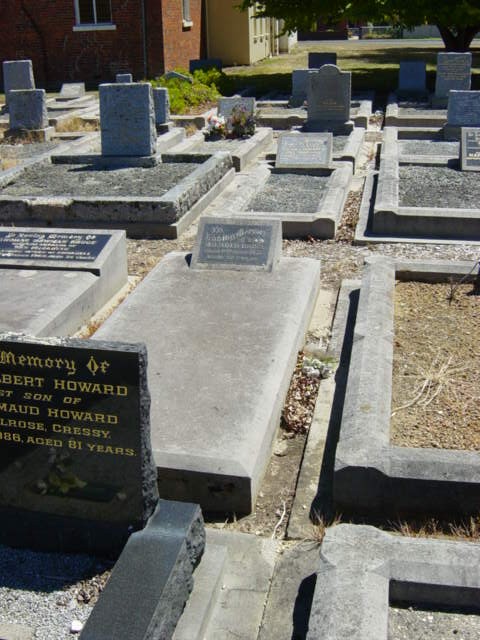 Full-size image