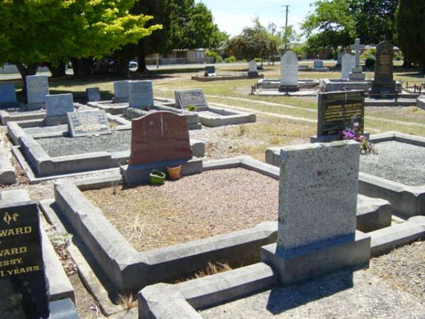 Full-size image