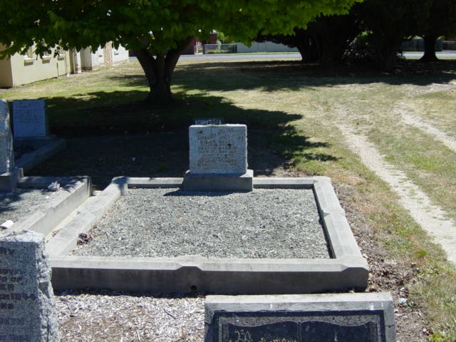 Full-size image
