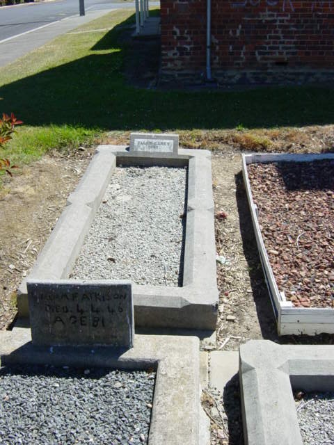 Full-size image