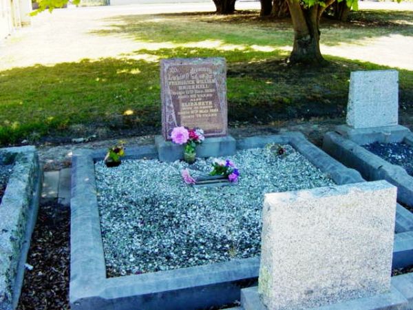 Full-size image