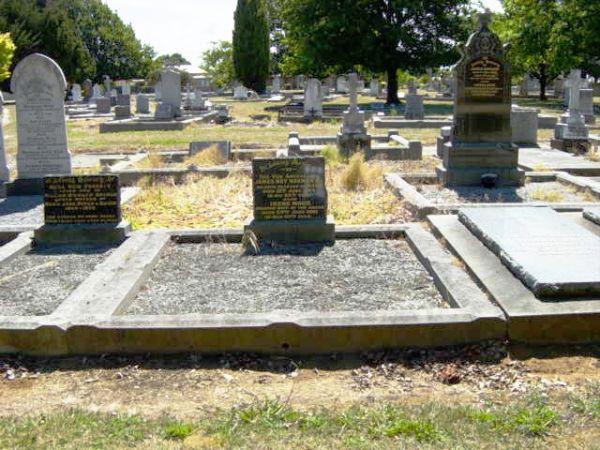 Full-size image