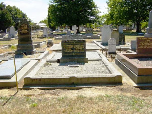 Full-size image