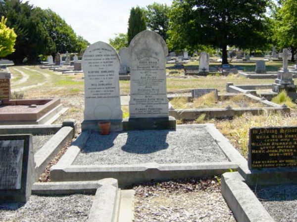 Full-size image