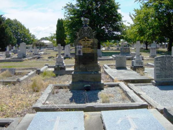 Full-size image