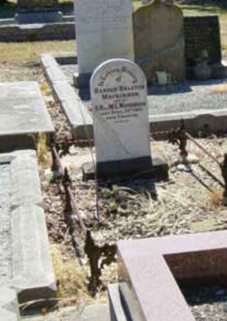 Full-size image
