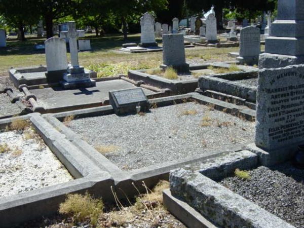 Full-size image