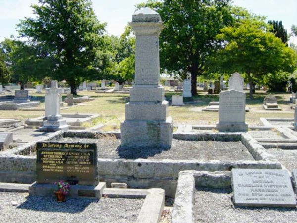 Full-size image