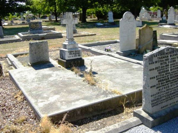 Full-size image
