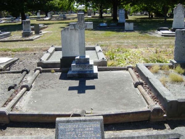 Full-size image