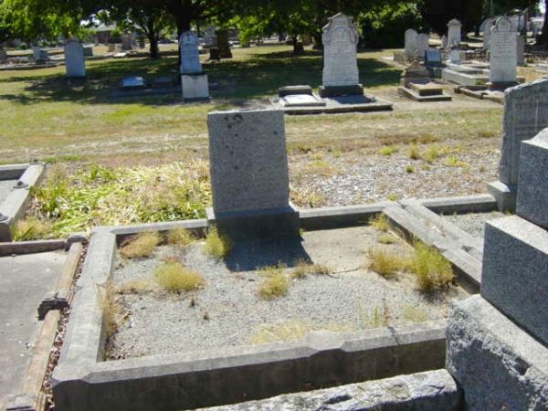 Full-size image