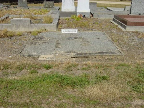 Full-size image