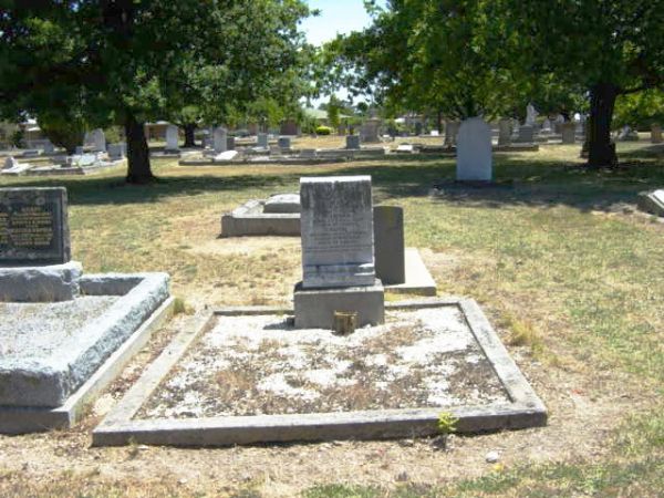 Full-size image