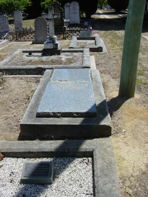 Full-size image