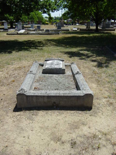 Full-size image